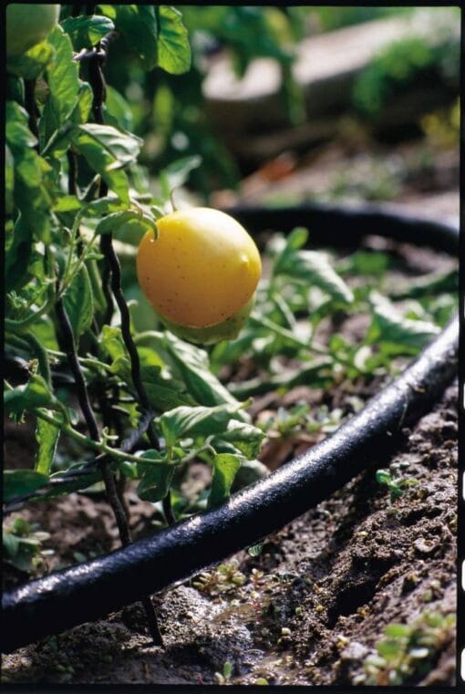 What is drip irrigation Definition from irrigationsuppliesstore