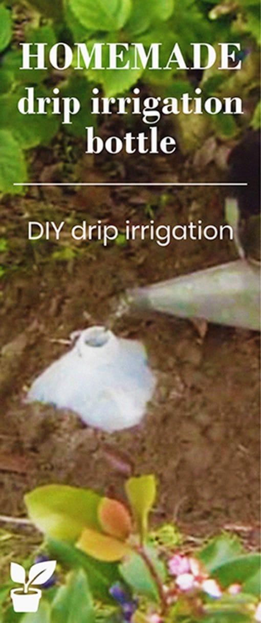 3 Ways to Make a homemade Drip Irrigation Bottle from a Plastic bottle
