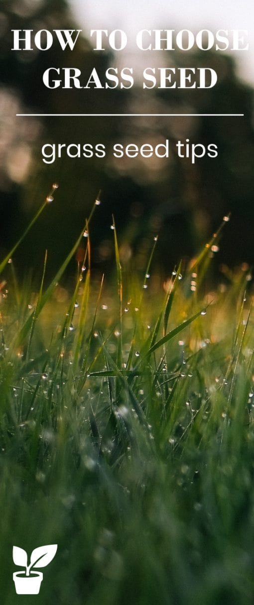 how to choose grass seed for Your Lawn 2022 irrigation supplies