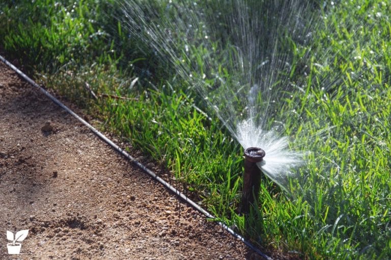 How to Install Your Own Sprinkler System layout Step By Step Guide