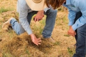 Don’t Ignore Your Soil Moisture (Working When Soil is Too Wet)