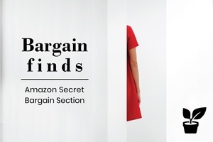 bargain finds - Amazon Secret Bargain Section - try it out!