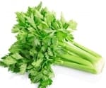 Fall/winter herbs celery