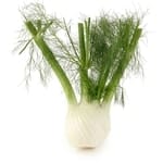 when to plant herbs - fennel