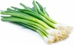 Fall/winter herbs Green onion