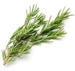 when to plant herbs - rosemary