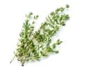 Full sun herbs thyme