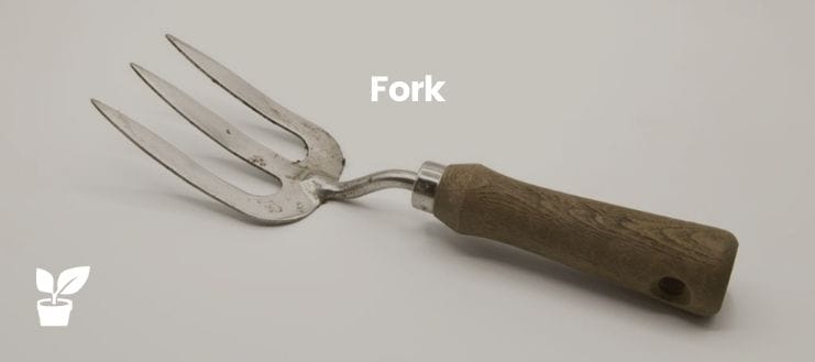 Fork