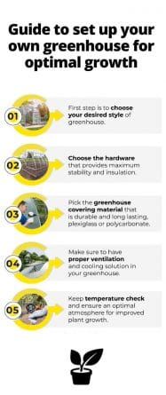 Guide to set up your own greenhouse for optimal growth
