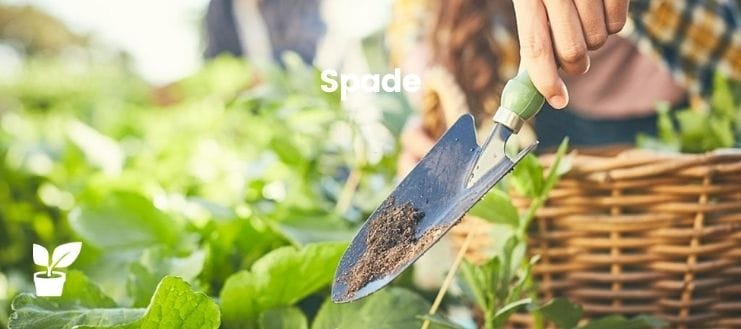 Spade
