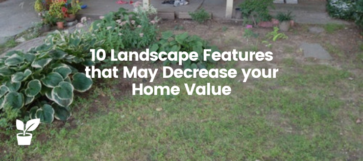 10 Landscape Features that May Decrease your Home Value