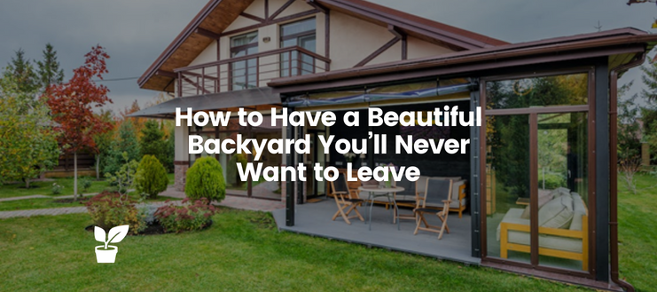 How to Have a Beautiful Backyard You’ll Never Want to Leave